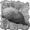 Todesgrottengärtner