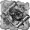 Schatzjäger