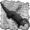 Polarisator