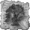 Naturverbundenheit